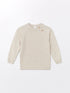 LC Waikiki Crew Neck Long Sleeve Baby Boy Knitwear Sweater